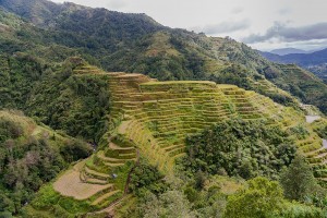 Banaue Rizières en terrasse